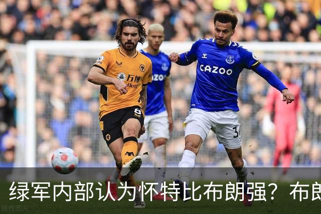 绿军内部认为怀特比布朗强？布朗上赛季场均正负值-6.2 怀特+6.8